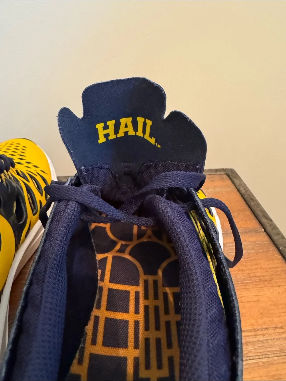Nike Mens University Michigan Sneakers